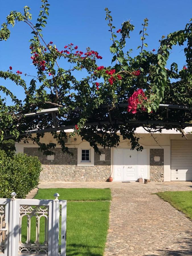 Villa Amalaya Flampouria Exterior photo